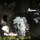 Illustration for article titled The Last Guardian Is A Feast For The Eyes